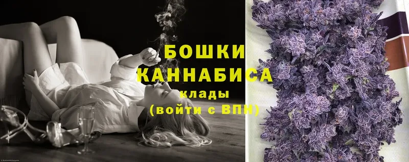 где найти   Салаир  Бошки марихуана Ganja 